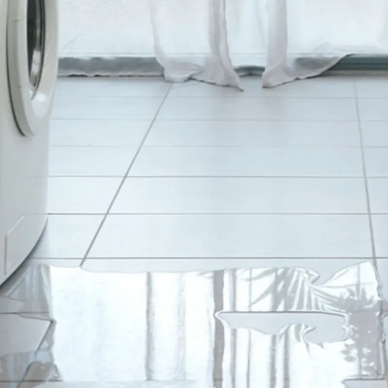 Appliance Leak Cleanup in Williams, CA