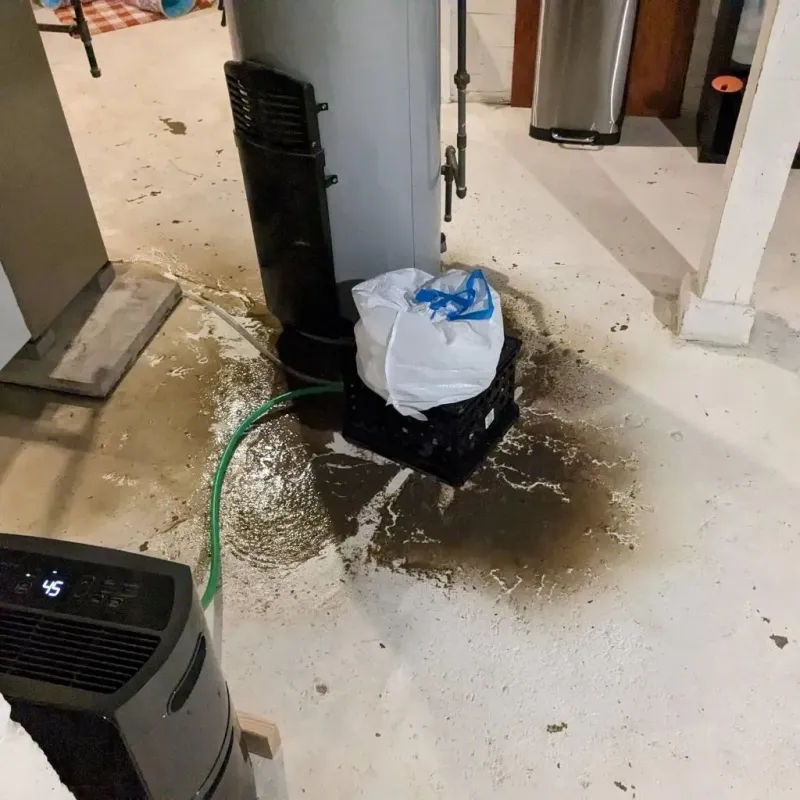 Sewage Backup Cleanup Service in Williams, CA